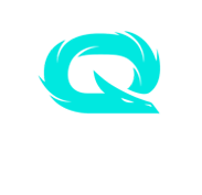 Qlash